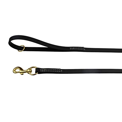 Black Biothane Dog Leash with Brass Hardware