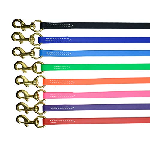 Black Biothane Dog Leash with Brass Hardware
