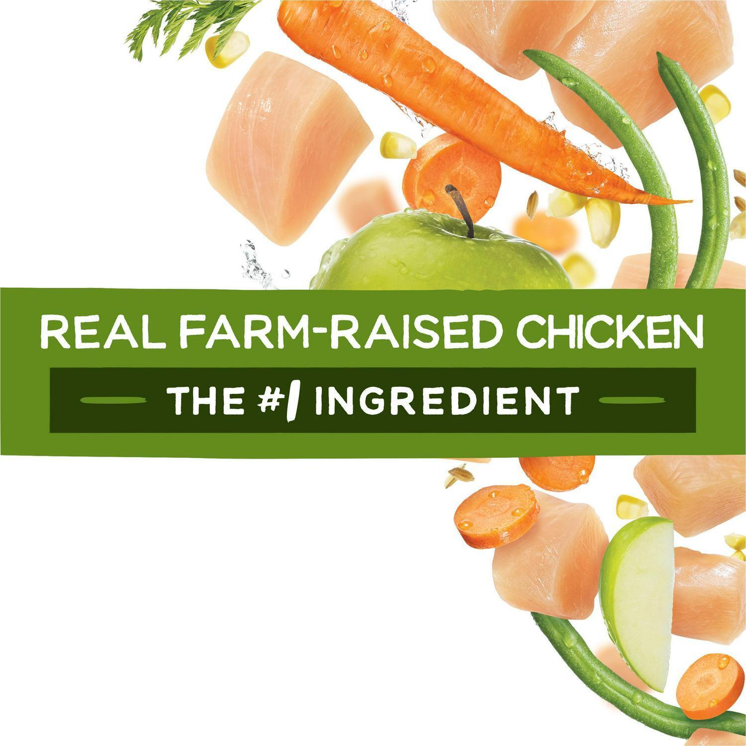 Healthy Weight Chicken Dog Food - 40 lbs