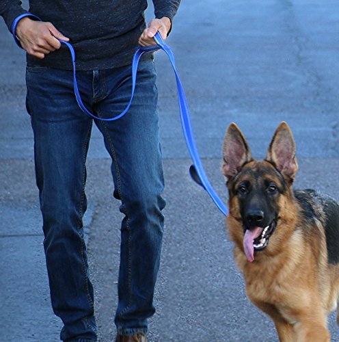 Reflective Triple Handle Traffic Dog Leash - Donation Included