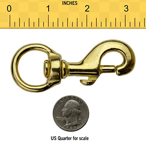 Black Biothane Dog Leash with Brass Hardware