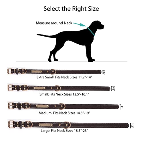 Customizable Engraved Vegan Leather Dog Collar