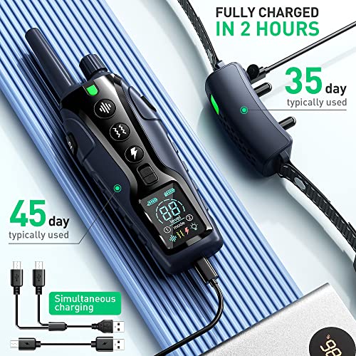 Remote Dog Shock Collar Set 2 Pack 