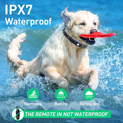 Remote Dog Shock Collar Set 2 Pack 