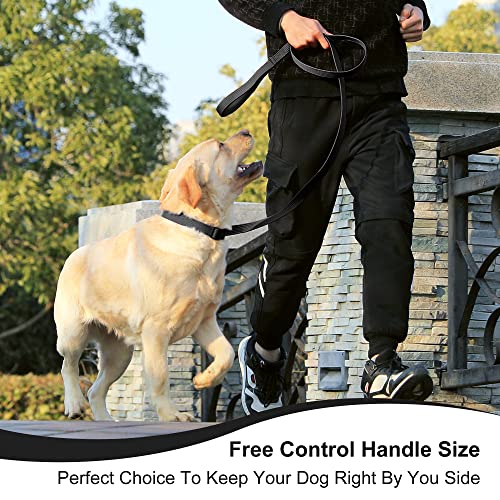 Lynxking Durable Dog Leash for Walking