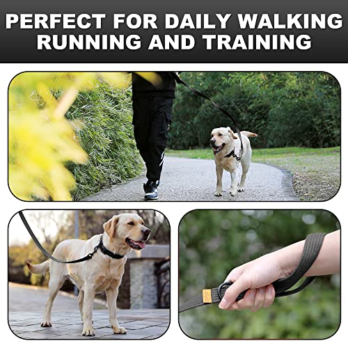 Lynxking Durable Dog Leash for Walking