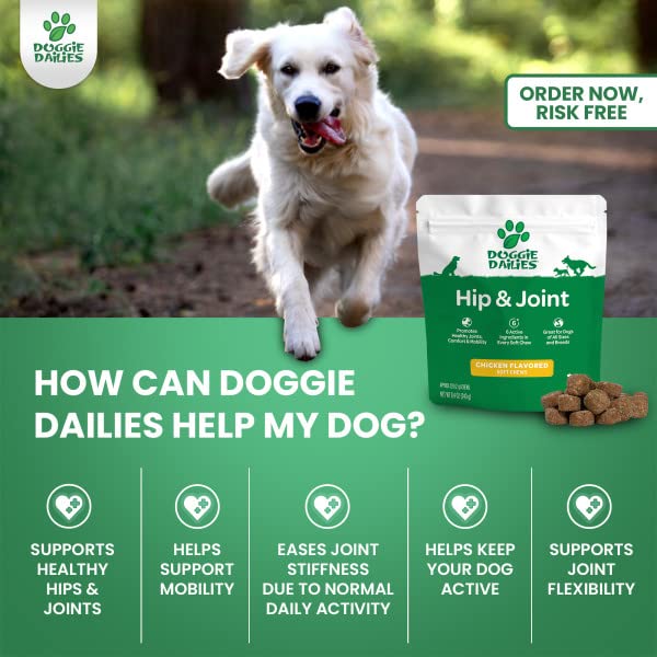 Premium Dog Joint Supplement with 120 Chews