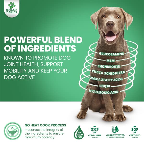 Premium Dog Joint Supplement with 120 Chews