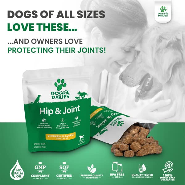 Premium Dog Joint Supplement with 120 Chews