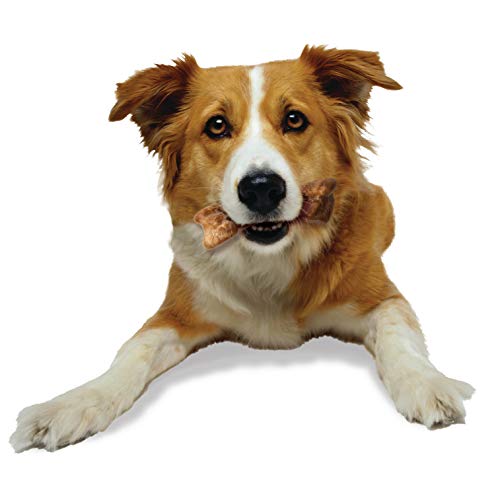 Wild Bison Chew Treats for Medium Dogs
