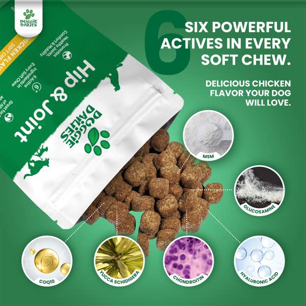 Premium Dog Joint Supplement with 120 Chews