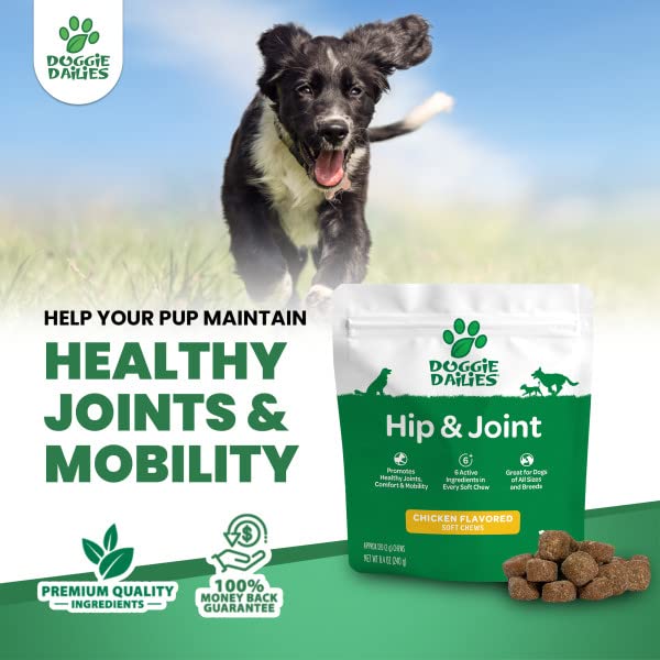 Premium Dog Joint Supplement with 120 Chews