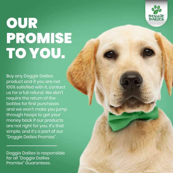 Premium Dog Joint Supplement with 120 Chews