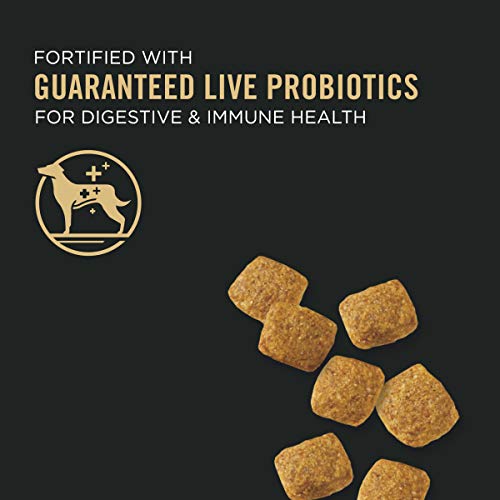 Weight Management Dog Food with Probiotics - 18lb