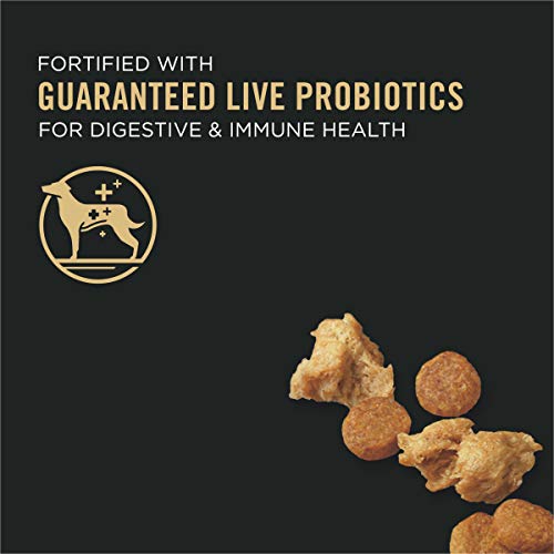 Senior Probiotic Dog Food - Chicken & Rice Blend