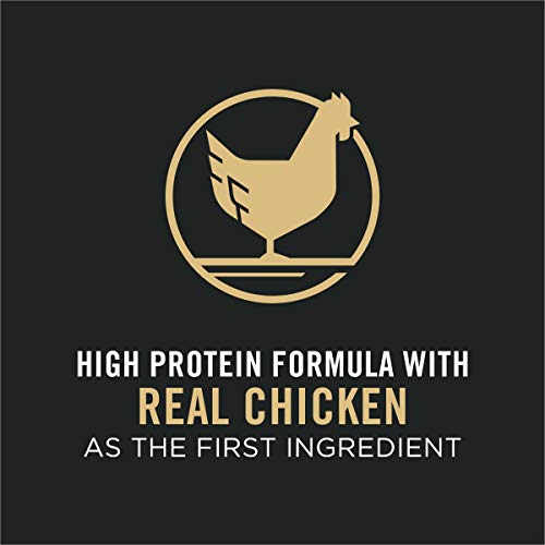 Senior Probiotic Dog Food - Chicken & Rice Blend