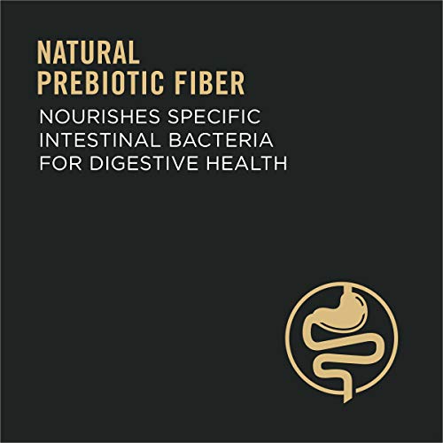 Senior Probiotic Dog Food - Chicken & Rice Blend