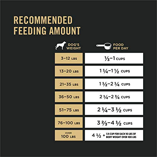 Senior Probiotic Dog Food - Chicken & Rice Blend