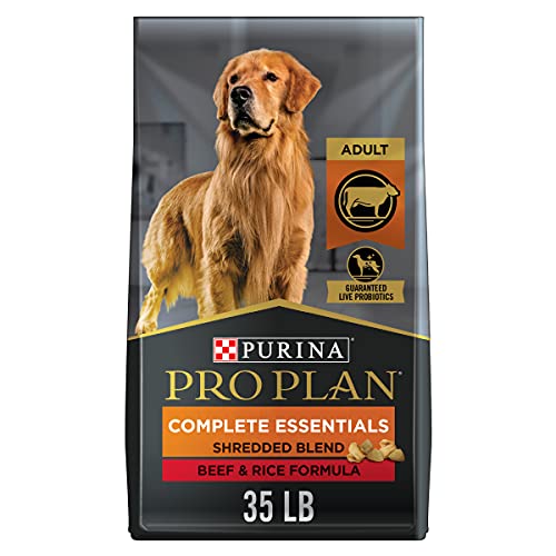 High Protein Beef & Rice Dog Food - 35 lbs