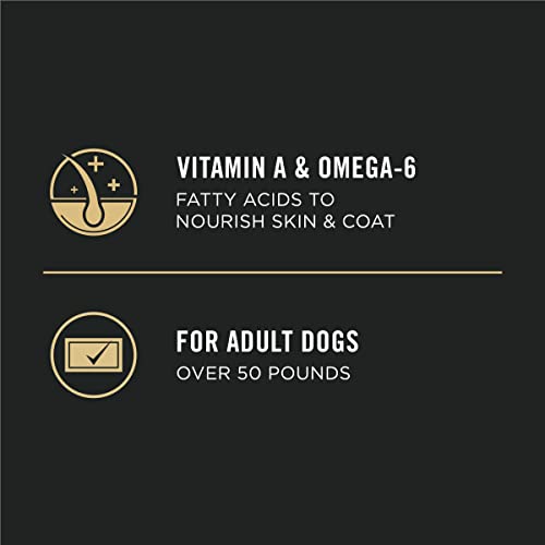 Large Breed Chicken and Rice Dog Food - 34 lbs