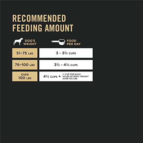 Large Breed Chicken and Rice Dog Food - 34 lbs