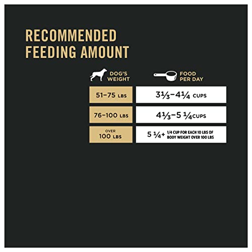 Large Breed Chicken & Rice Dog Food - 34 lb