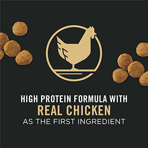 34lb Purina Pro Plan Puppy Food - Chicken & Rice