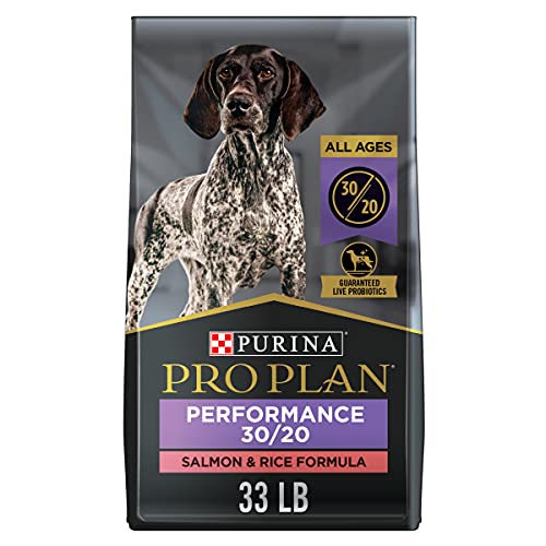 Sport Salmon & Rice Dog Food - 33lb