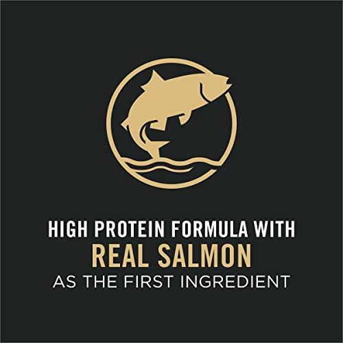 Sport Salmon & Rice Dog Food - 33lb