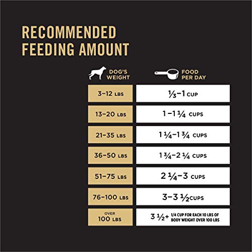 Sport Salmon & Rice Dog Food - 33lb