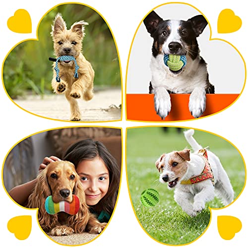 20 Pack Luxury Dog Chew Toys for Small Dogs