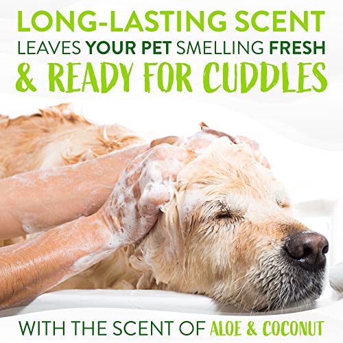 TropiClean Aloe & Coconut Dog Shampoo | Odor Control | Natural | 20 oz