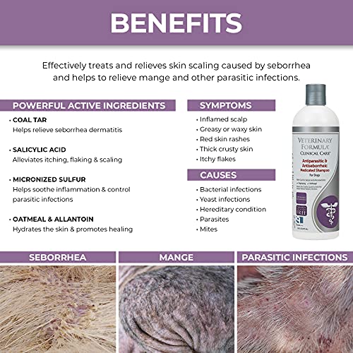 Antifungal Dog Shampoo for Soothing Skin, 16 oz