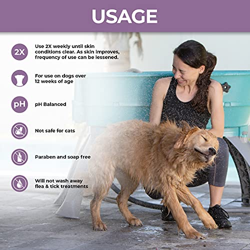Antifungal Dog Shampoo for Soothing Skin, 16 oz