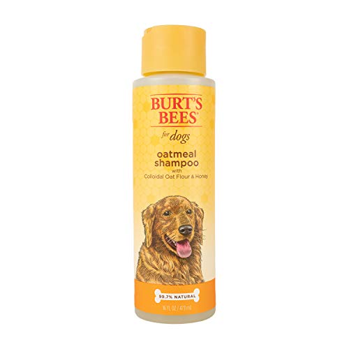 Burt's Bees Oatmeal Dog Shampoo | Moisturizing & Nourishing