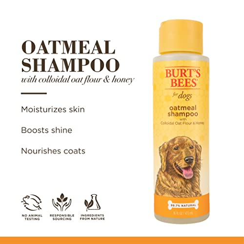 Burt's Bees Oatmeal Dog Shampoo | Moisturizing & Nourishing