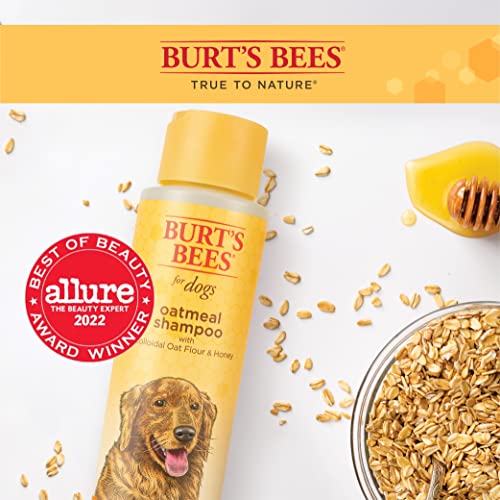 Burt's Bees Oatmeal Dog Shampoo | Moisturizing & Nourishing