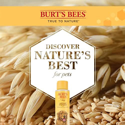 Burt's Bees Oatmeal Dog Shampoo | Moisturizing & Nourishing