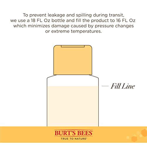 Burt's Bees Oatmeal Dog Shampoo | Moisturizing & Nourishing