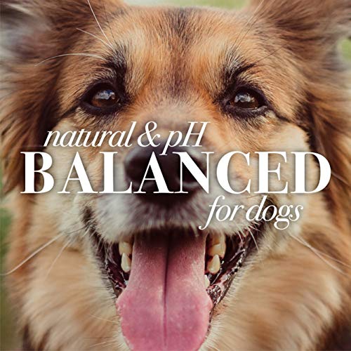 Burt's Bees Oatmeal Dog Shampoo | Moisturizing & Nourishing