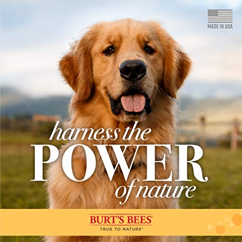 Burt's Bees Oatmeal Dog Shampoo | Moisturizing & Nourishing