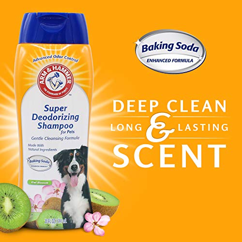 Arm & Hammer Deodorizing Shampoo - Kiwi Blossom Scent