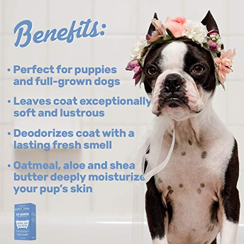 Oatmeal & Aloe Dog Shampoo with Shea Butter
