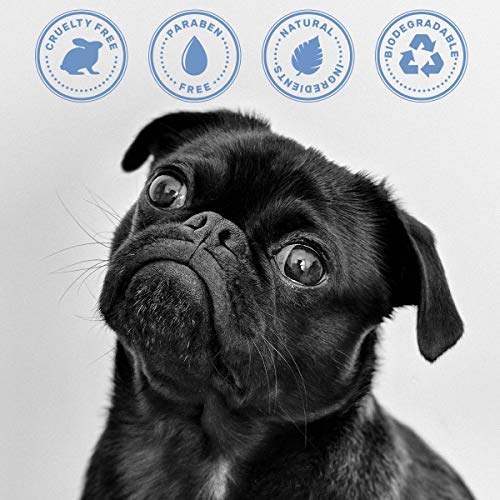 Oatmeal & Aloe Dog Shampoo with Shea Butter