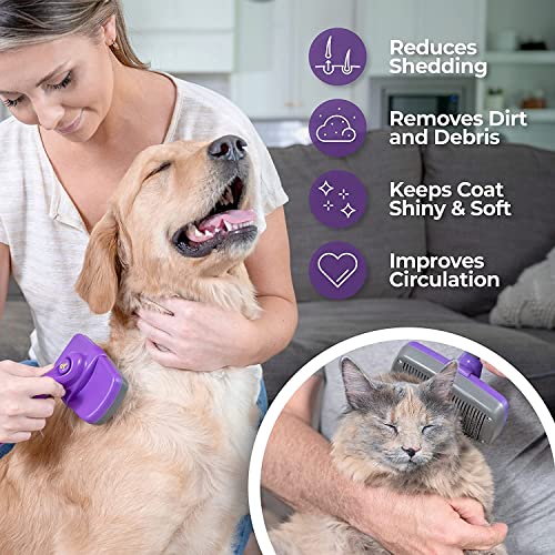 Pet Grooming Brush Kit for Dogs and Cats