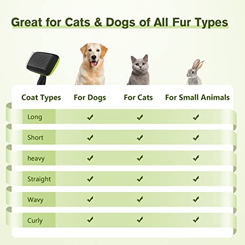 Pecute Self-Cleaning Brush: Grooming Dogs, Cats, Rabbits