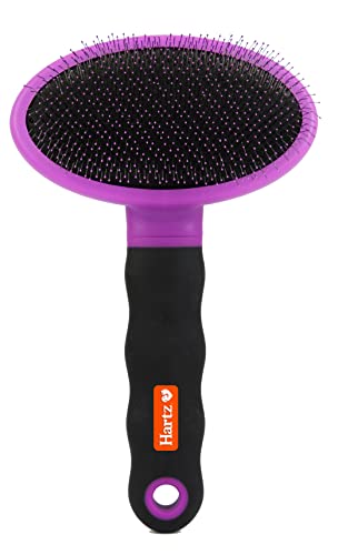 Hartz Dog Brush: Effective Deshedding, Black/Violet