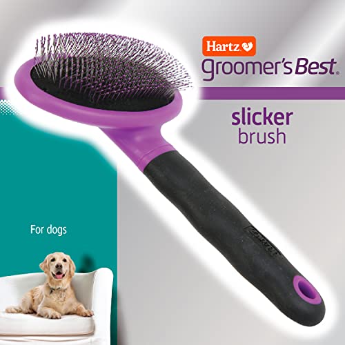 Hartz Dog Brush: Effective Deshedding, Black/Violet