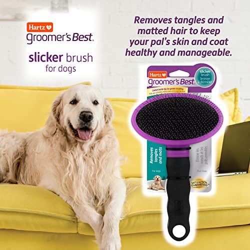 Hartz Dog Brush: Effective Deshedding, Black/Violet
