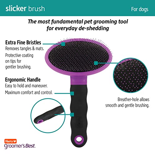 Hartz Dog Brush: Effective Deshedding, Black/Violet